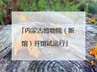内蒙古博物院（新馆）开馆试运行